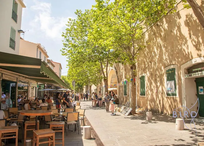 Apartment Olivette Antibes