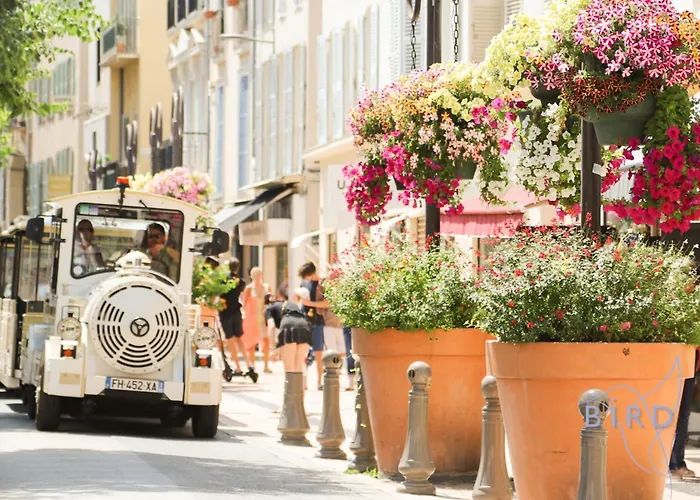 Olivette Διαμέρισμα Αντίμπ